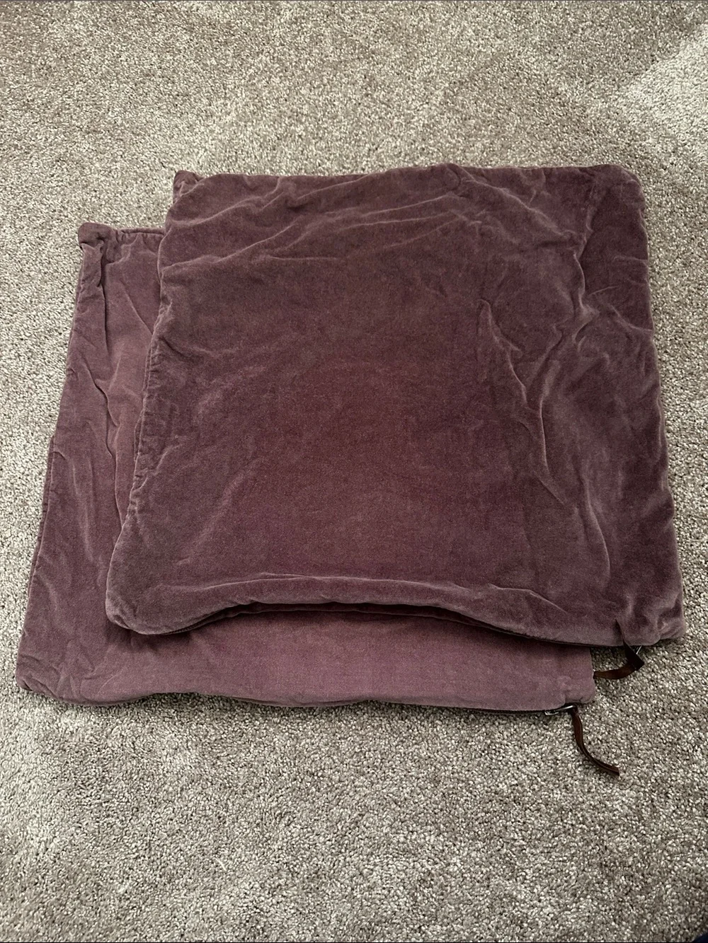 Pottery Barn Velvet Pillow Covers Set of 2